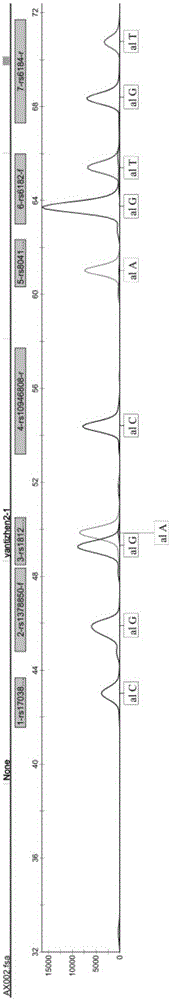 Kit for SNP genotyping of Chinese children short stature susceptibilty genes and utilization method of kit