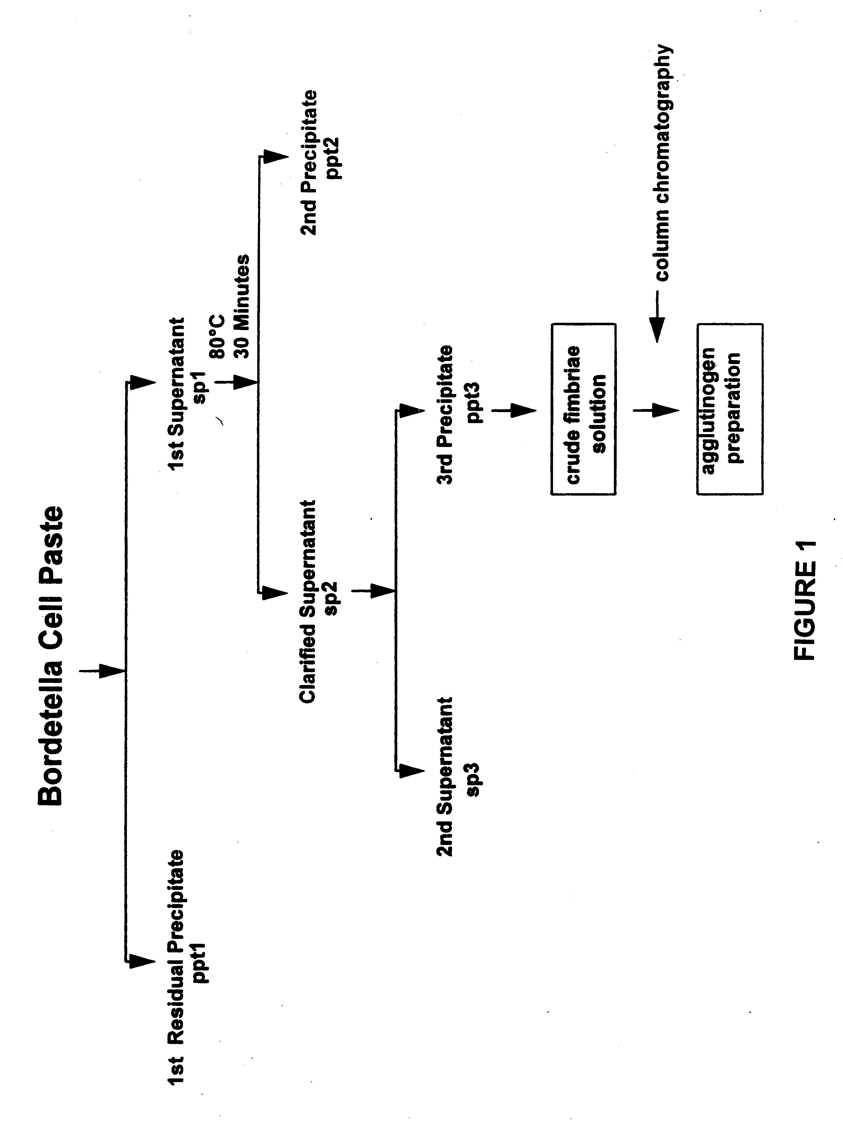 Acellular pertussis vaccines and methods of preparation thereof