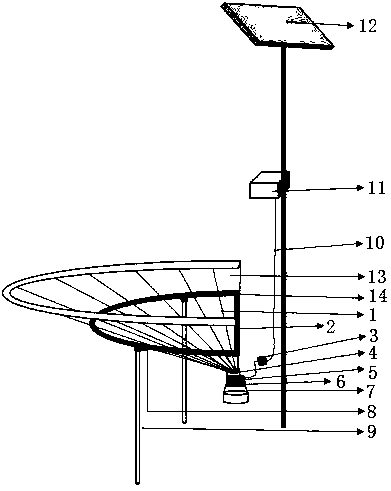 Fruit-stripping monitoring device for fruit fly larvae and using method thereof