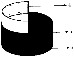 Fruit-stripping monitoring device for fruit fly larvae and using method thereof