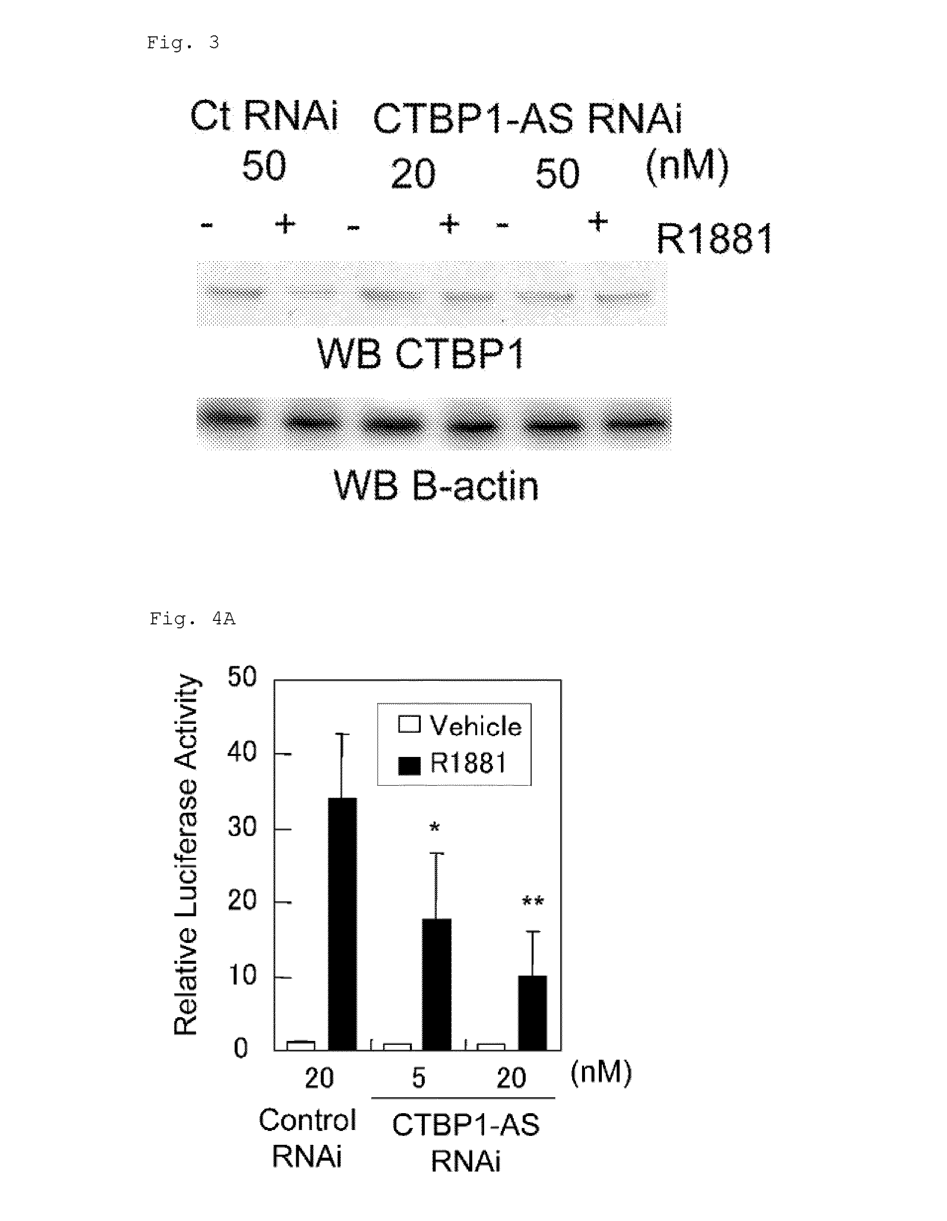 Cell growth inhibitor and screening method thereof
