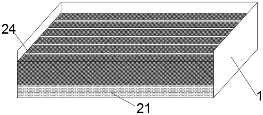 Cutting rapid propagation method of European spruce