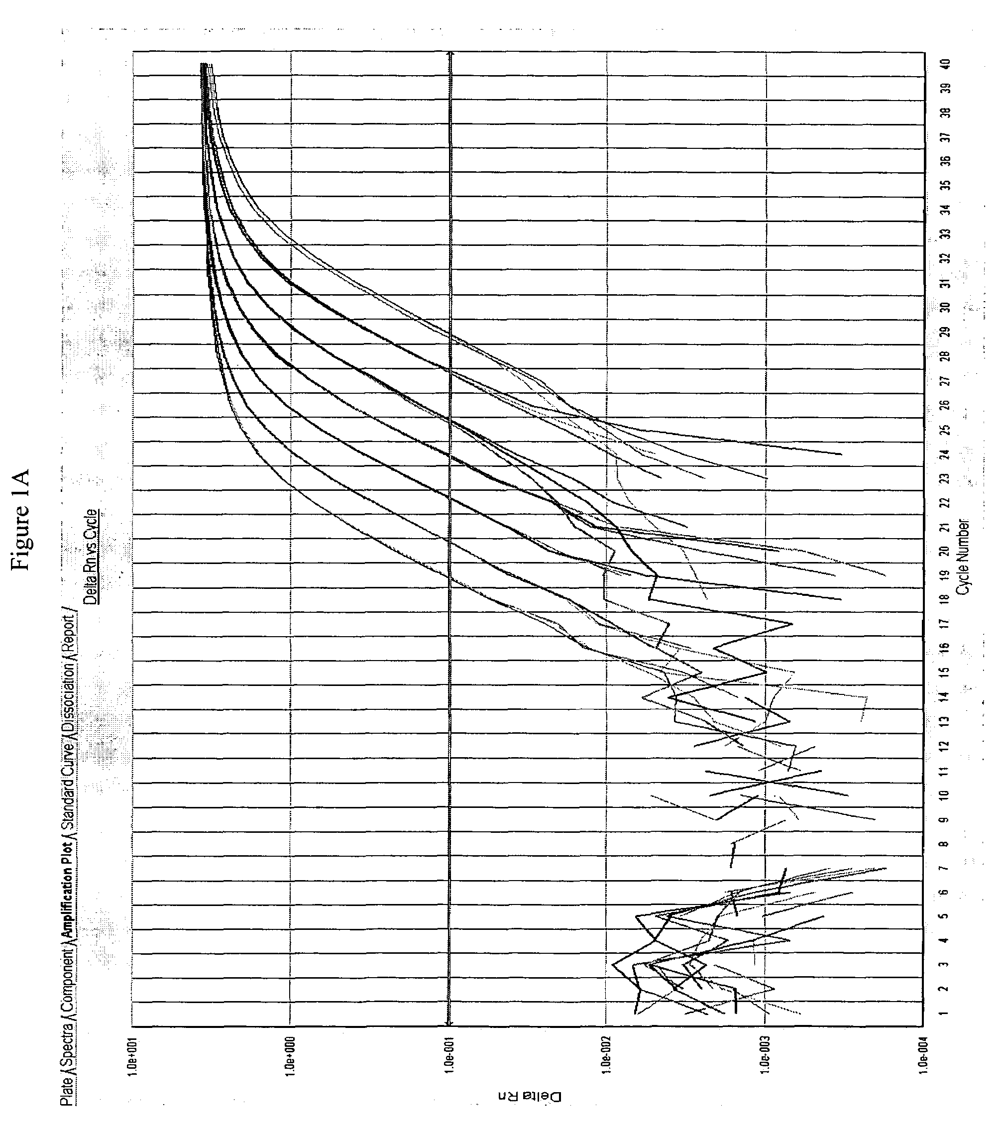 Method of determining a chemotherapeutic regimen for non small cell lung cancer based on BRCA1 expression