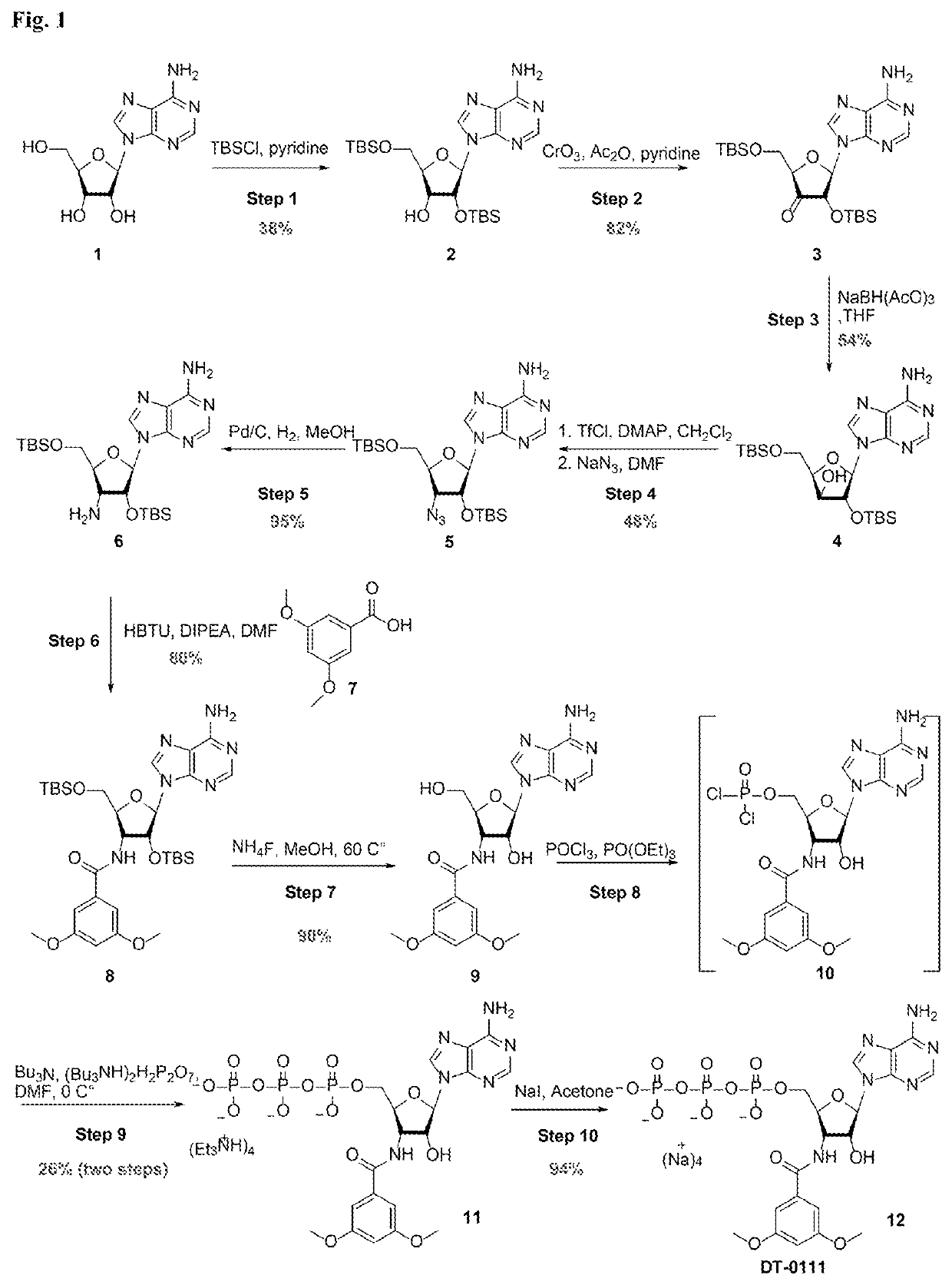 3″,5″-dimethoxybenzoyl-3′-amino-3′-deoxy adenosine-5′-triphosphates and pharmaceutical uses thereof