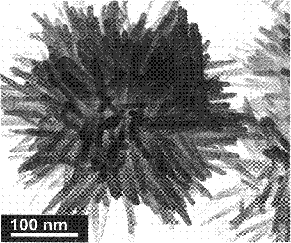 Preparing method of sea-urchin-shaped amorphous Ni-B alloy nanometer materials
