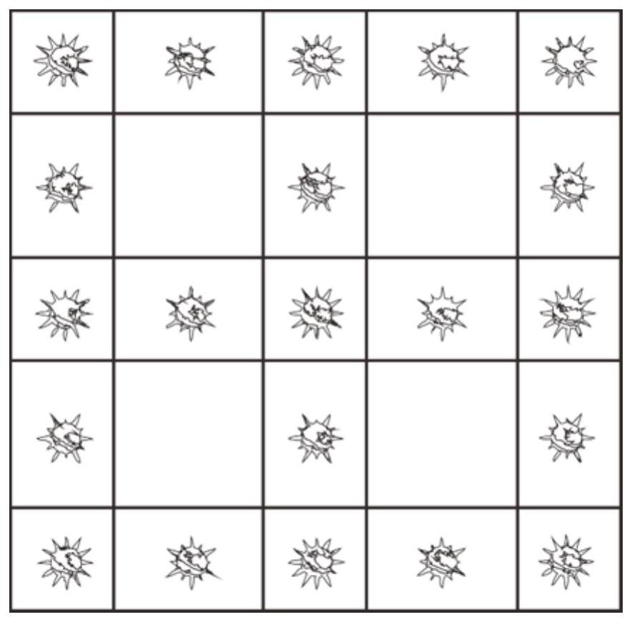 A Selective Adhesion Transfer Method Based on Laser Surface Treatment