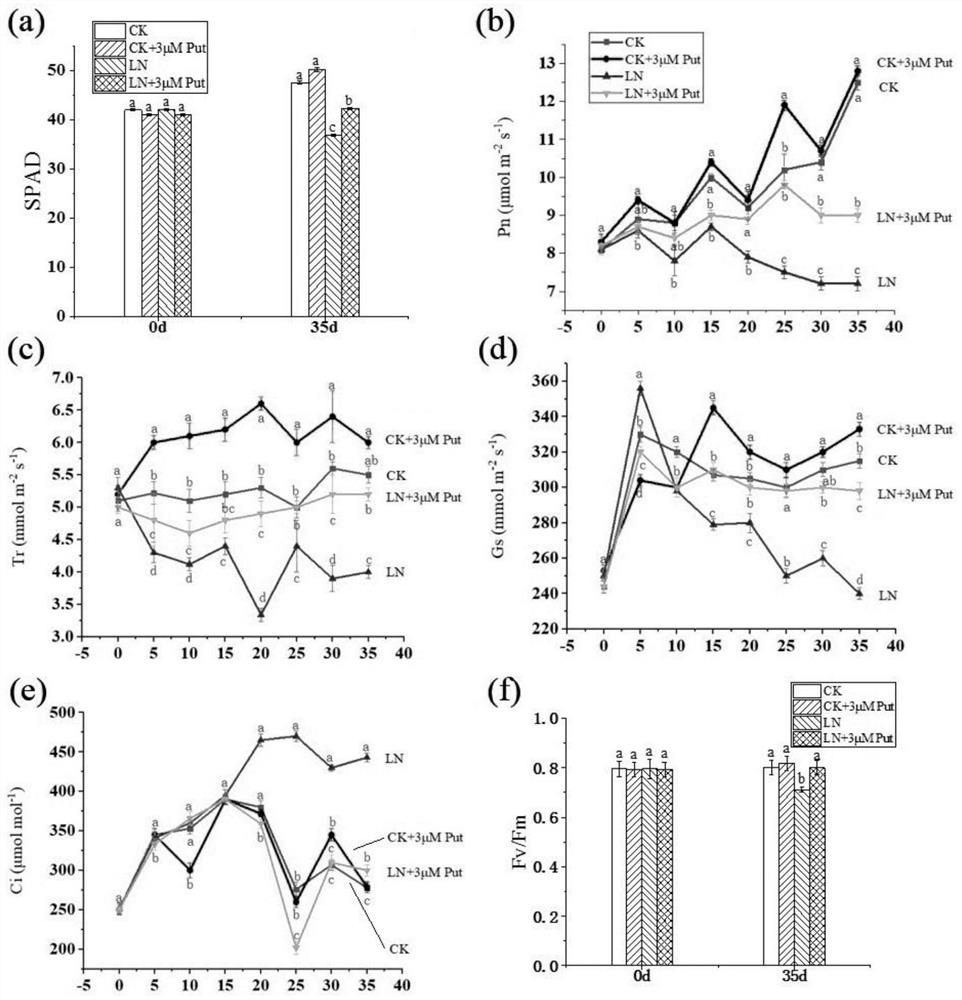 Application of putrescine in relieving inhibition of low-nitrogen stress on plant growth