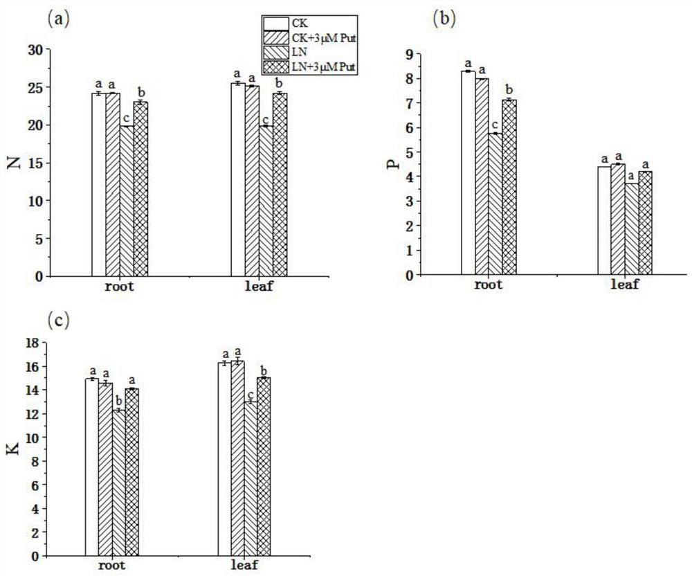 Application of putrescine in relieving inhibition of low-nitrogen stress on plant growth