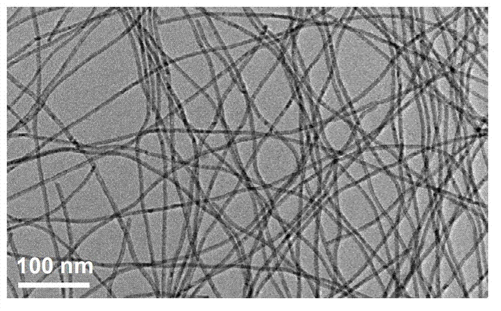 Preparation method and application of tellurium-based precious metal alloy nanowire catalyst
