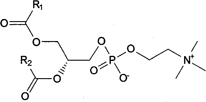 5-fluorouracil-sn2-phosphatidyl choline copolymer as well as preparation method and application thereof