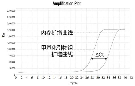 Colorectal cancer screening marker composition, selection method thereof and colorectal cancer screening kit