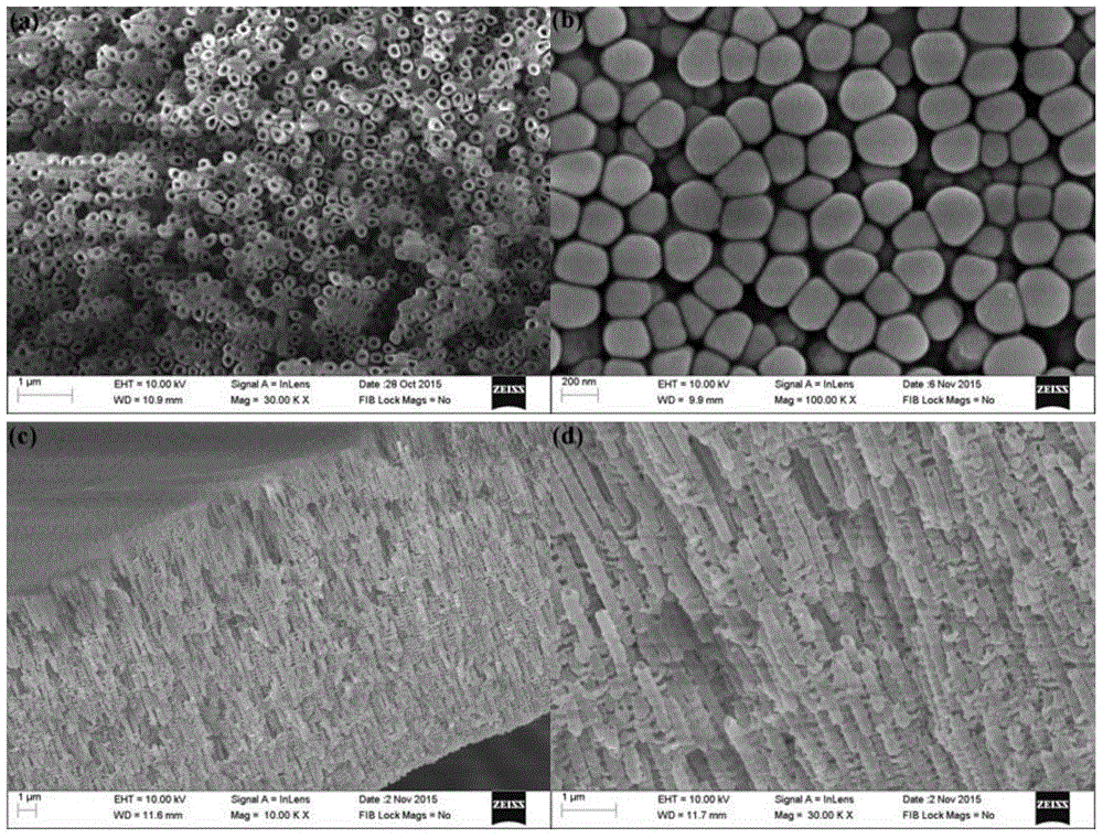 Method for generating composite oxide nanotube array on high-entropy alloy surface
