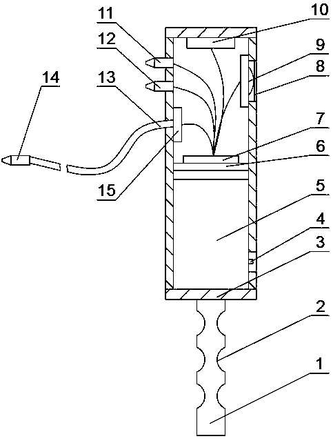 growth information collection and analysis system and method for planting Chinese medicinal materials