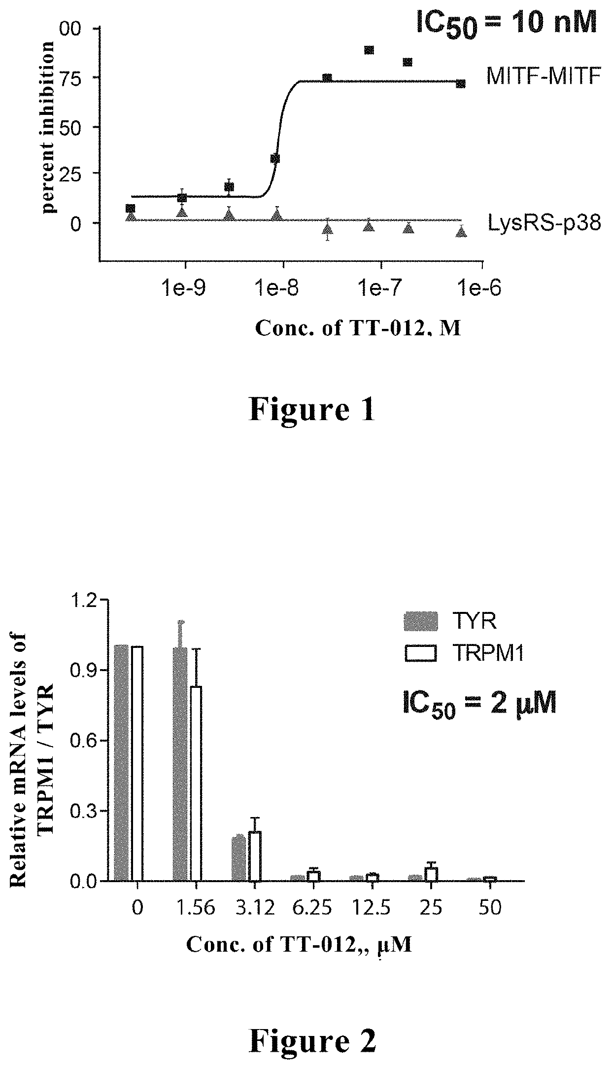 Use of aromatic ring drug in inhibiting key transcription factor of malignant melanoma