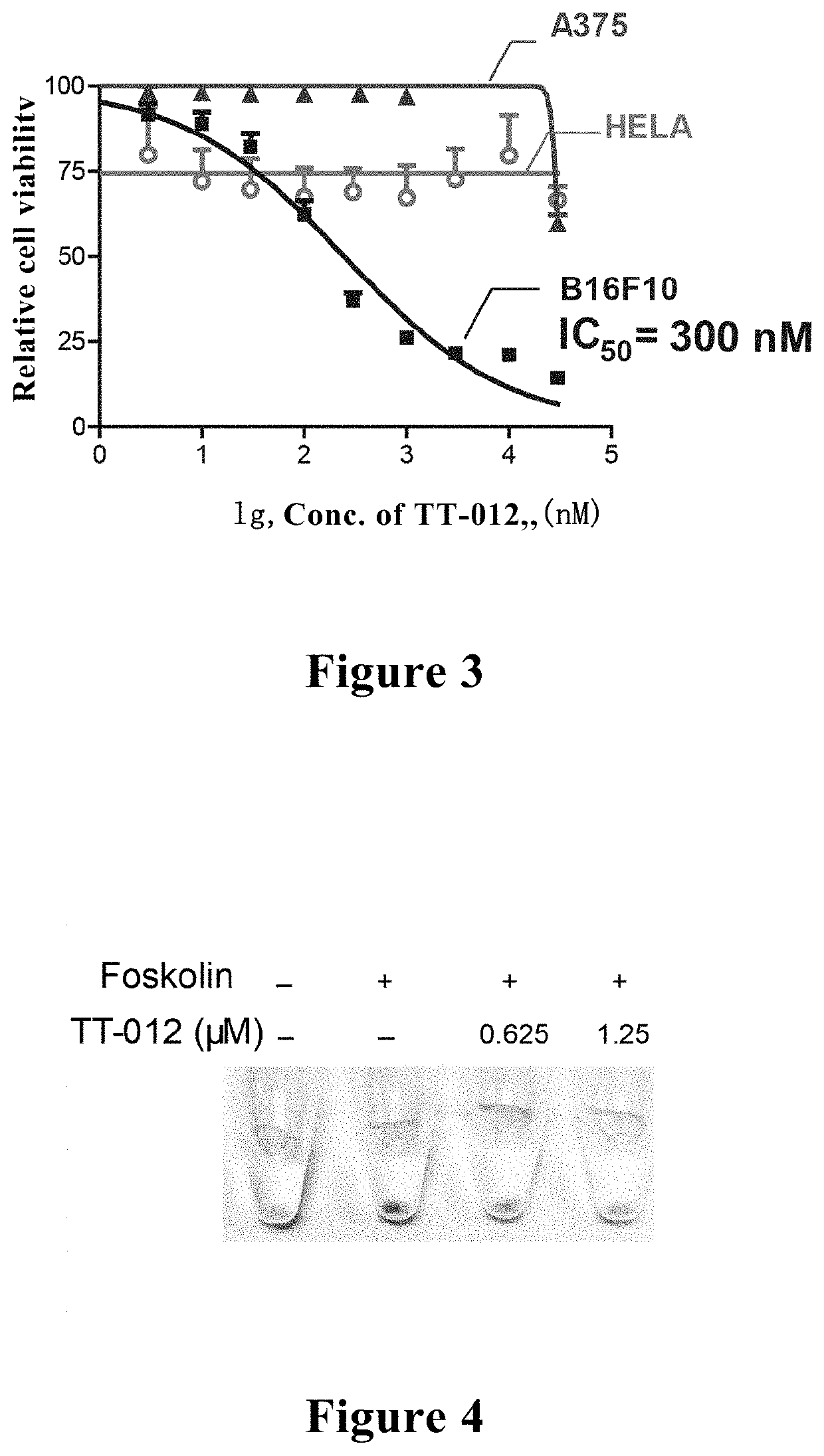 Use of aromatic ring drug in inhibiting key transcription factor of malignant melanoma