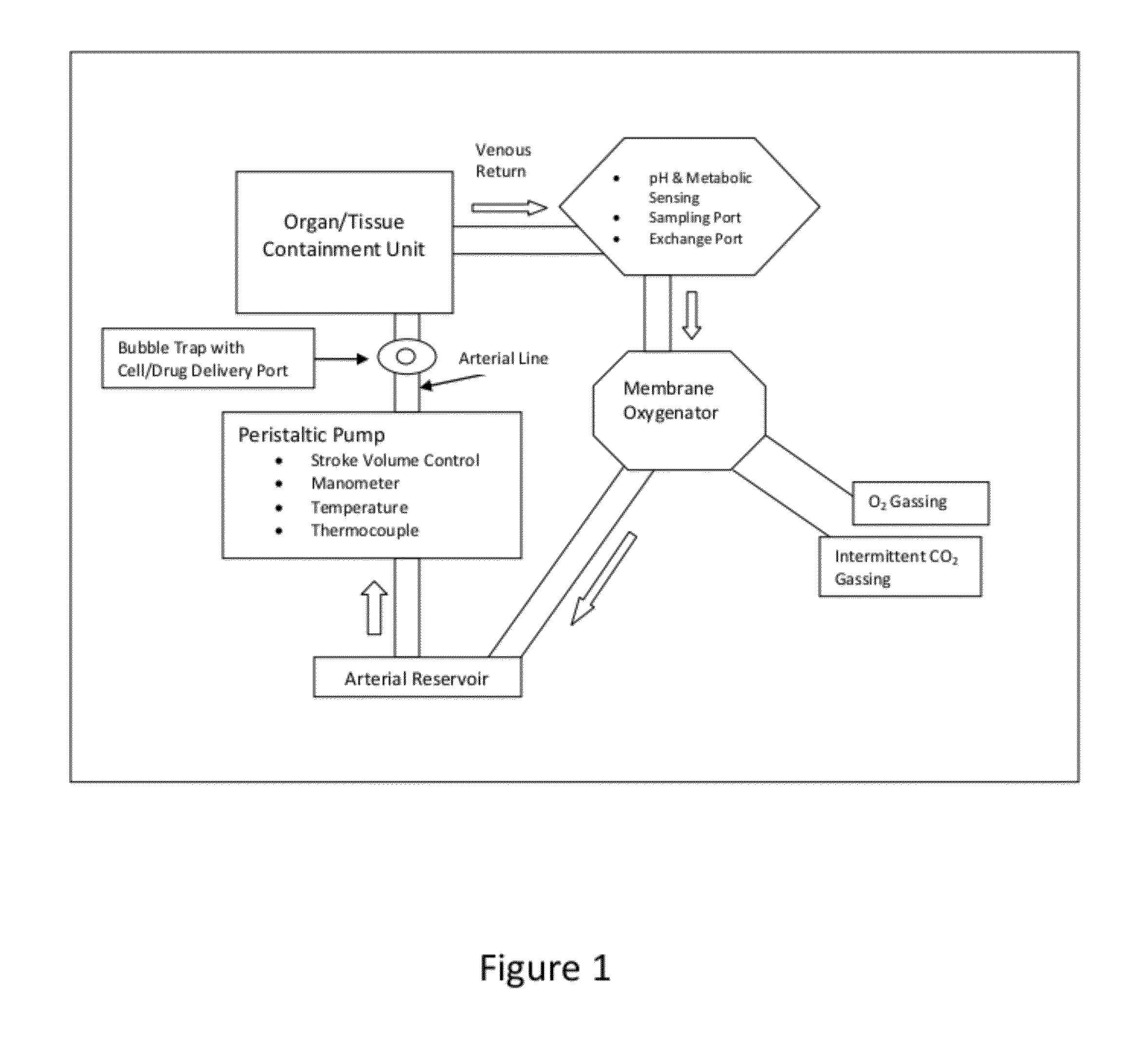 Delivery System for Cell-Based Therapies