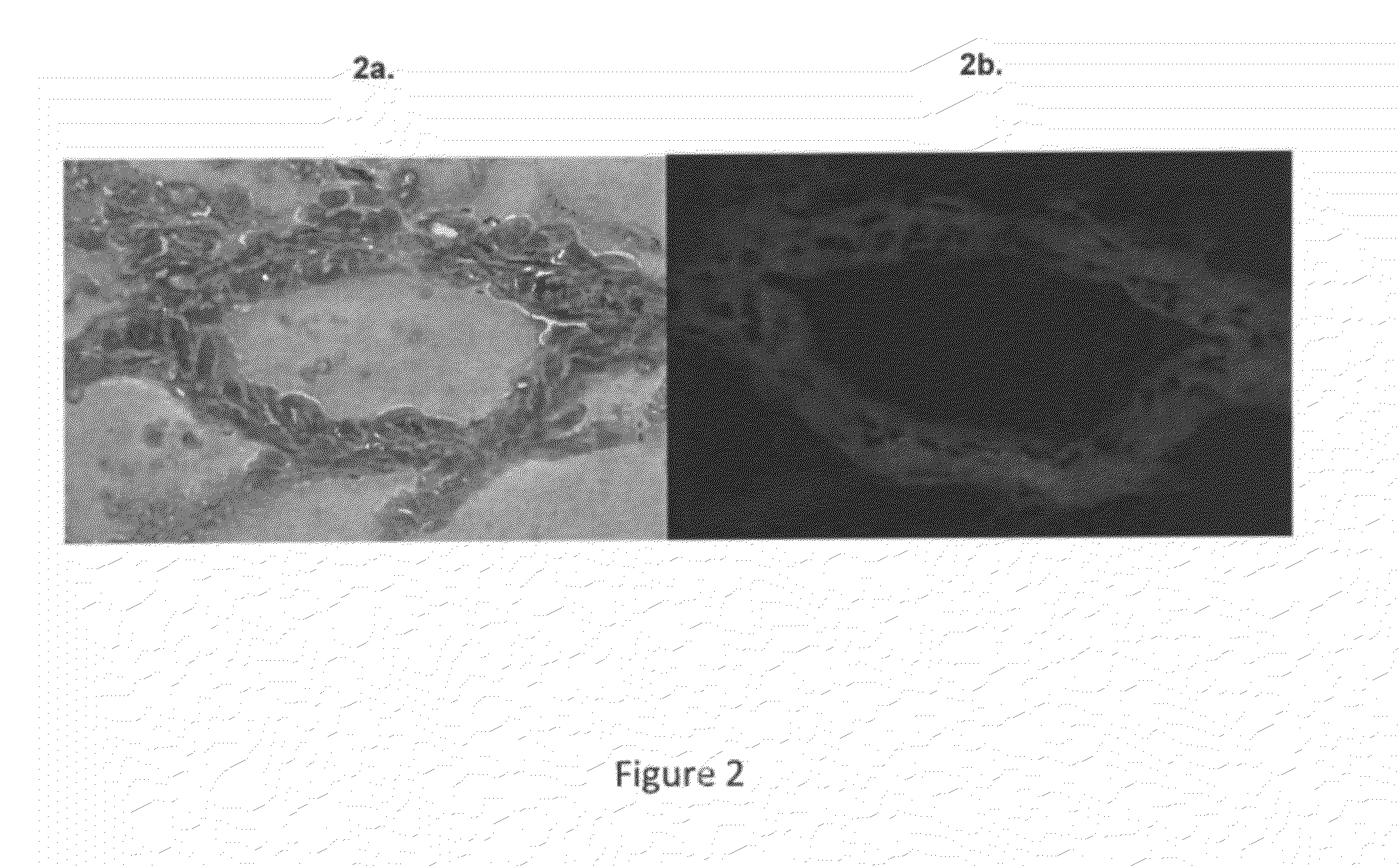 Delivery System for Cell-Based Therapies