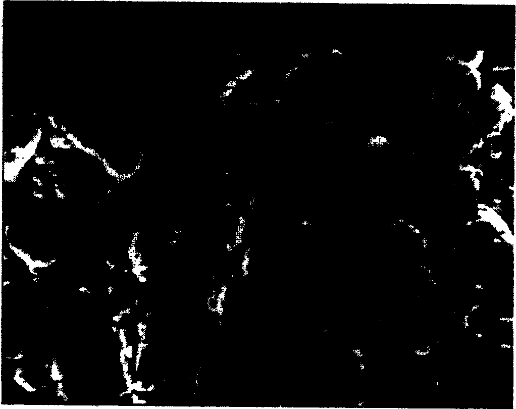 method-for-improving-bond-of-alloy-and-oxide-by-surface-microporosity