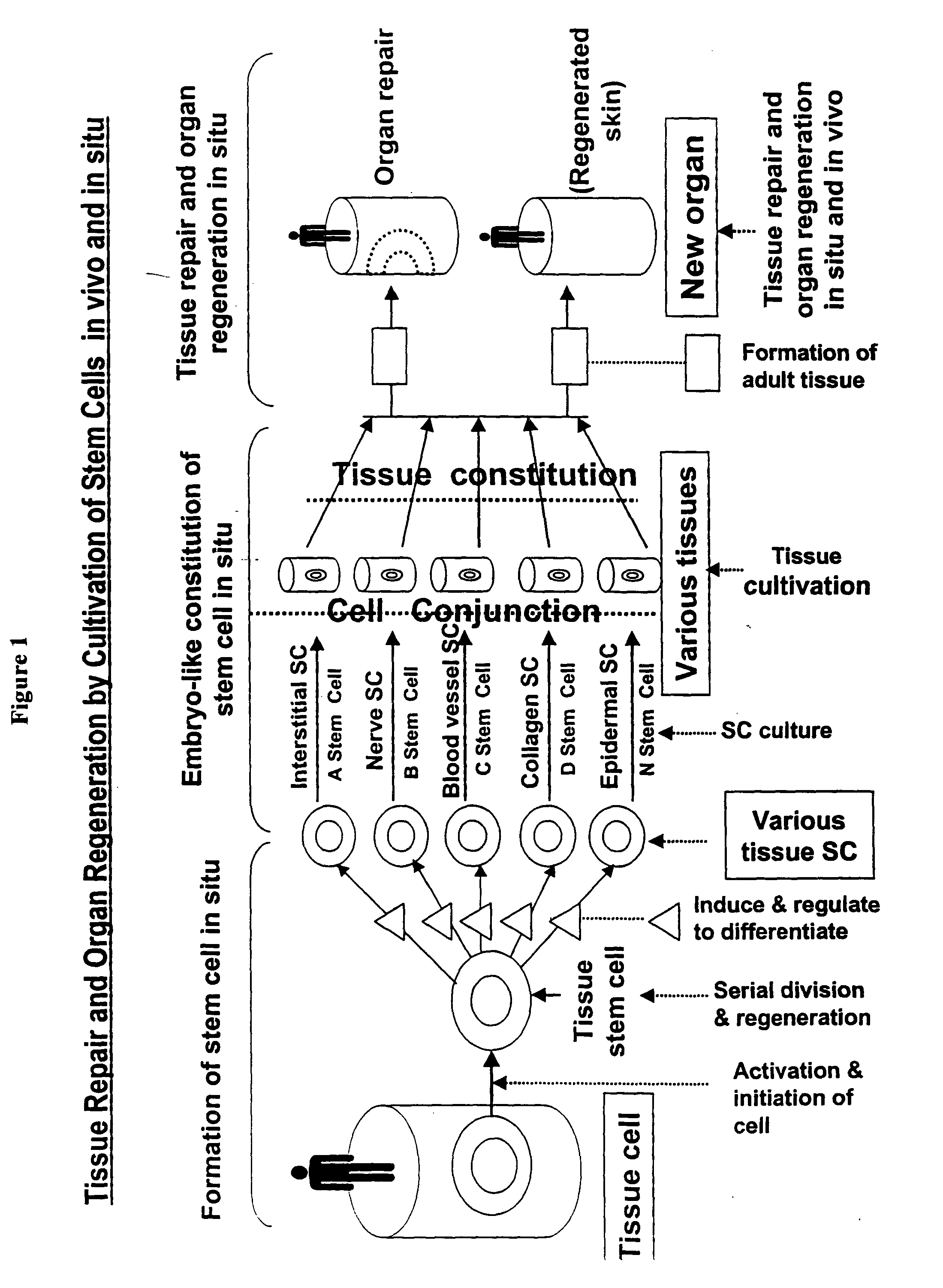 Compositions for oral delivery of nutrients and pharmaceuticals