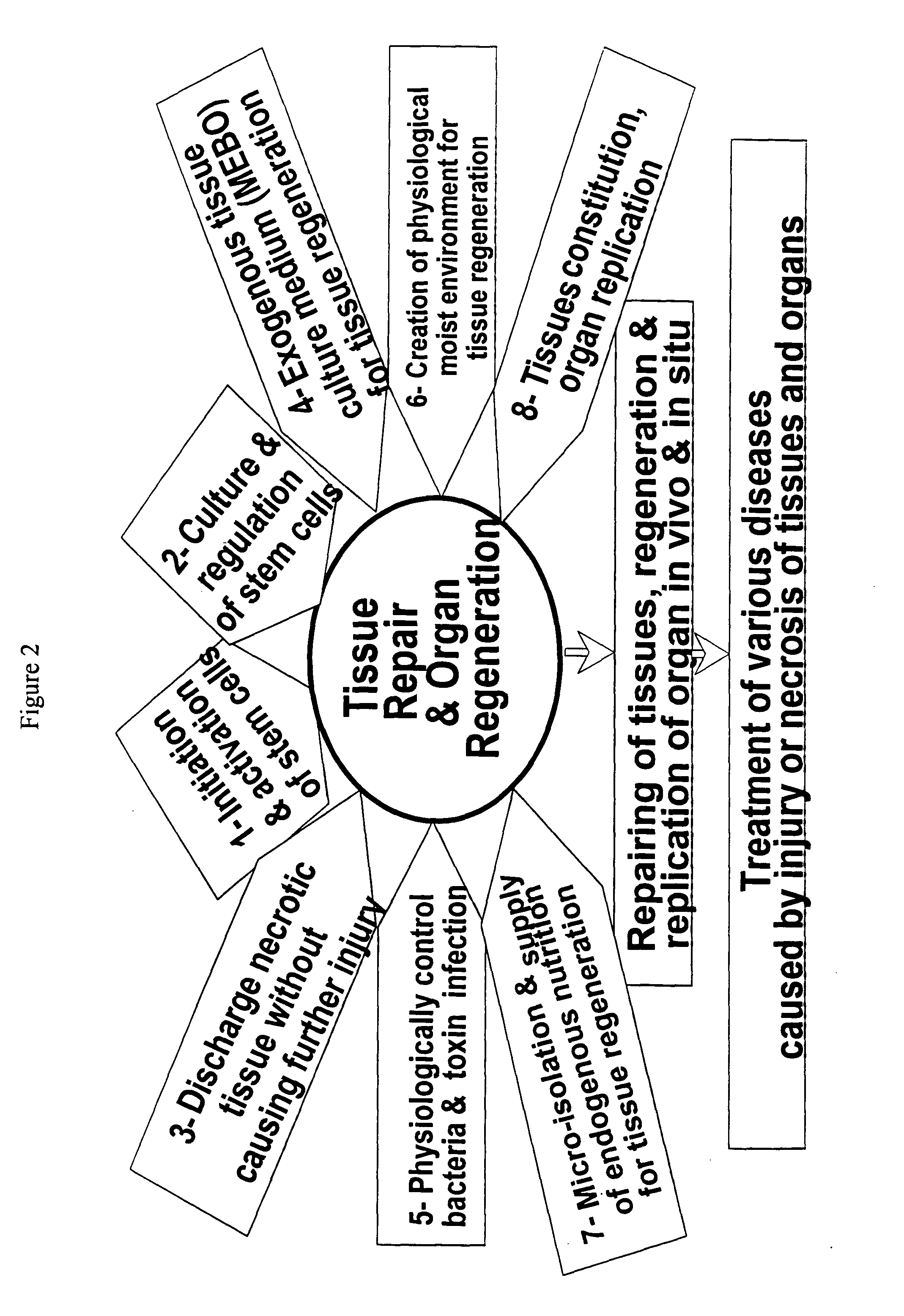 Compositions for oral delivery of nutrients and pharmaceuticals