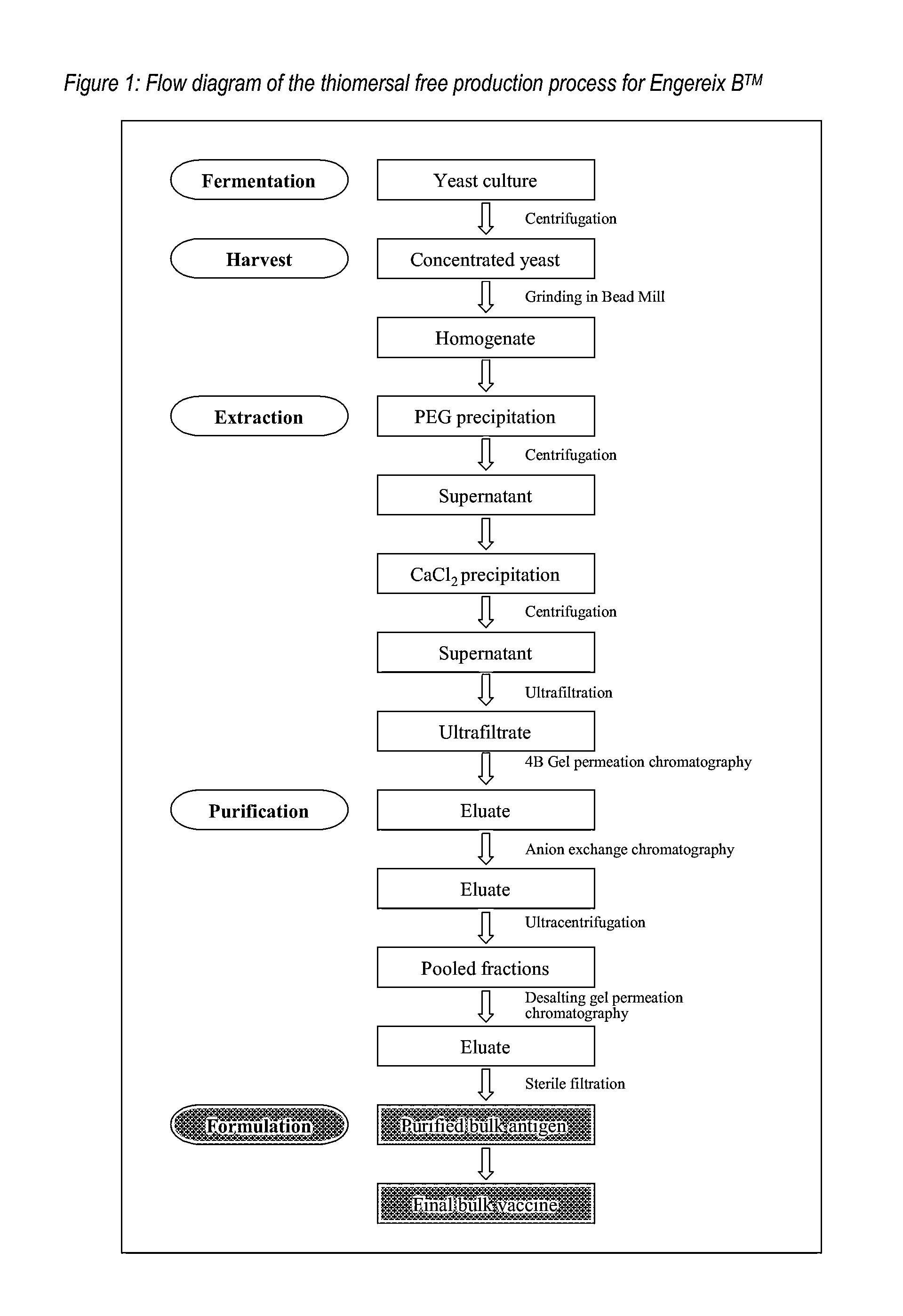 Purification of HBV antigens for use in vaccines