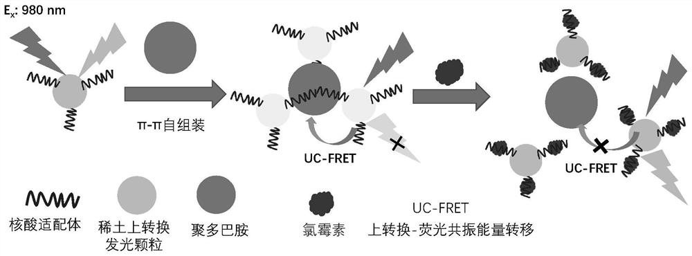 Rare earth up-conversion energy transfer nano sensing platform, construction method and application