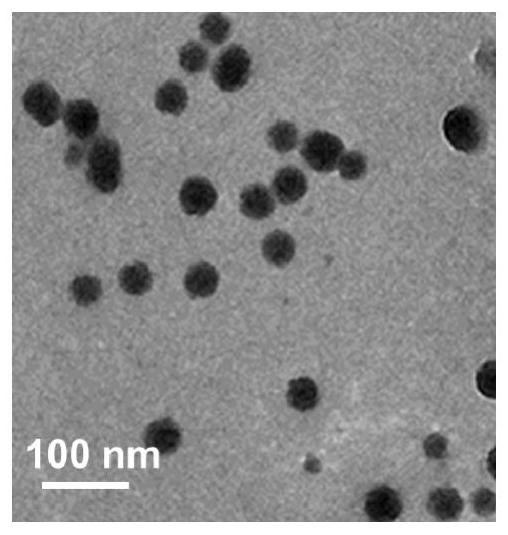 Rare earth up-conversion energy transfer nano sensing platform, construction method and application