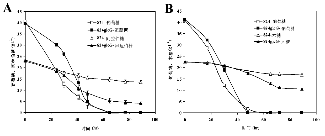 Method for improving sugar utilization rate of clostridium acetobutylicum in fermentation of mixed sugar