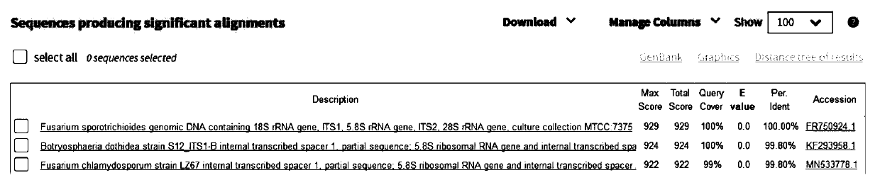 Primer, probe, kit and method for RT-QPCR detection of fusarium sporotrichioides