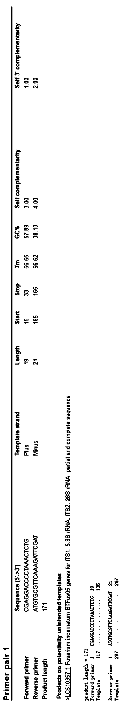 Primer, probe, kit and method for RT-QPCR detection of fusarium sporotrichioides