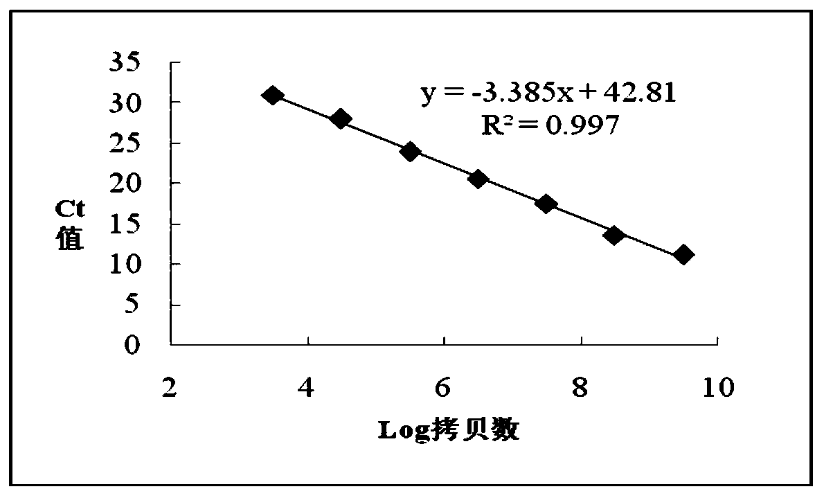 Primer, probe, kit and method for RT-QPCR detection of fusarium sporotrichioides