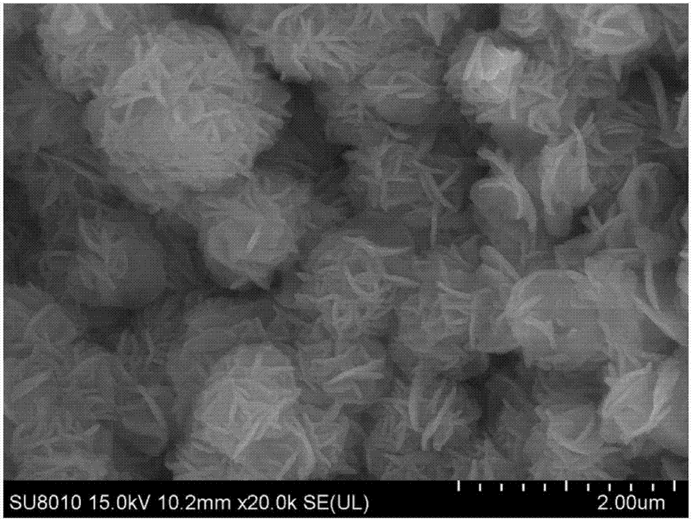 Petal-shaped tungsten sulfide nano-sphere, preparation method and application of nano-sphere