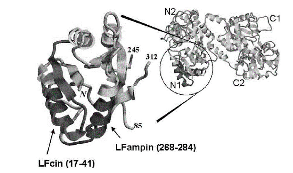 Antibacterial recombination polypeptide and expression vector thereof
