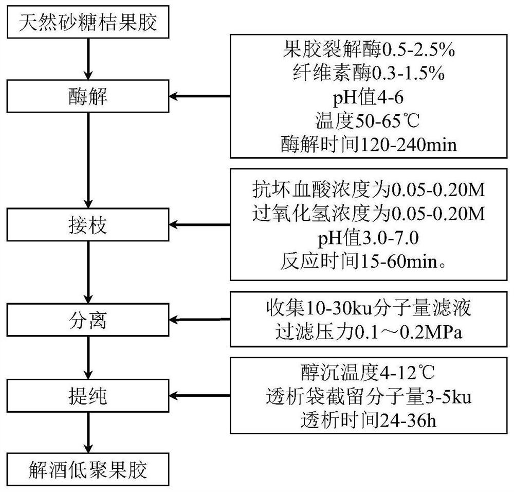 Preparation method and application of alcohol-dispelling oligomeric pectin