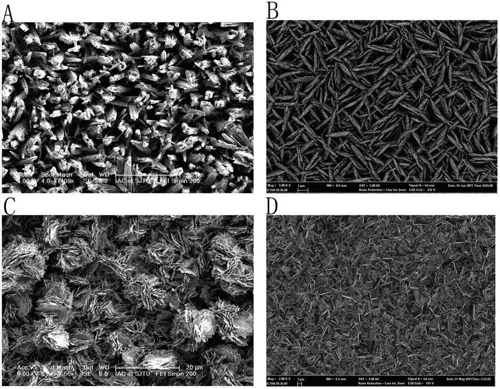 Tungsten-base tungsten trioxide nano film, and preparation method and application thereof