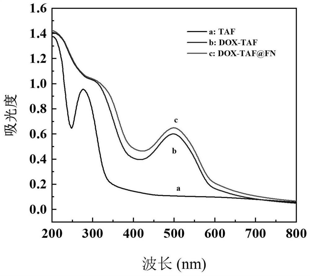 Fibronectin-coated tannic acid/iron complex drug-loaded nano material and preparation and application thereof
