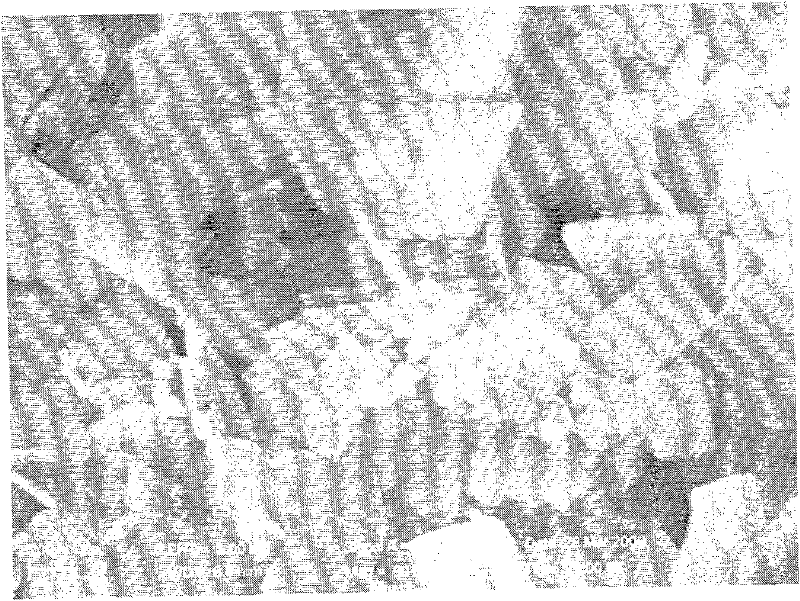 Method for preparing bismuthyl chloride nano-flower