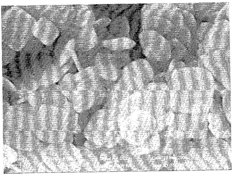 Method for preparing bismuthyl chloride nano-flower