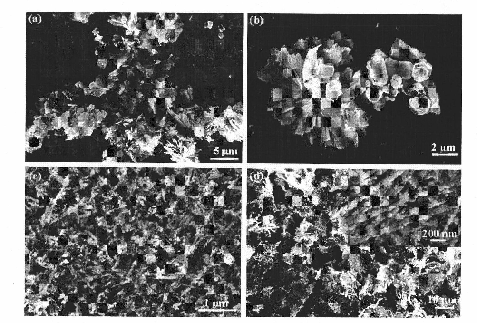 Preparation method of three-dimensional porous zinc oxide microstructure