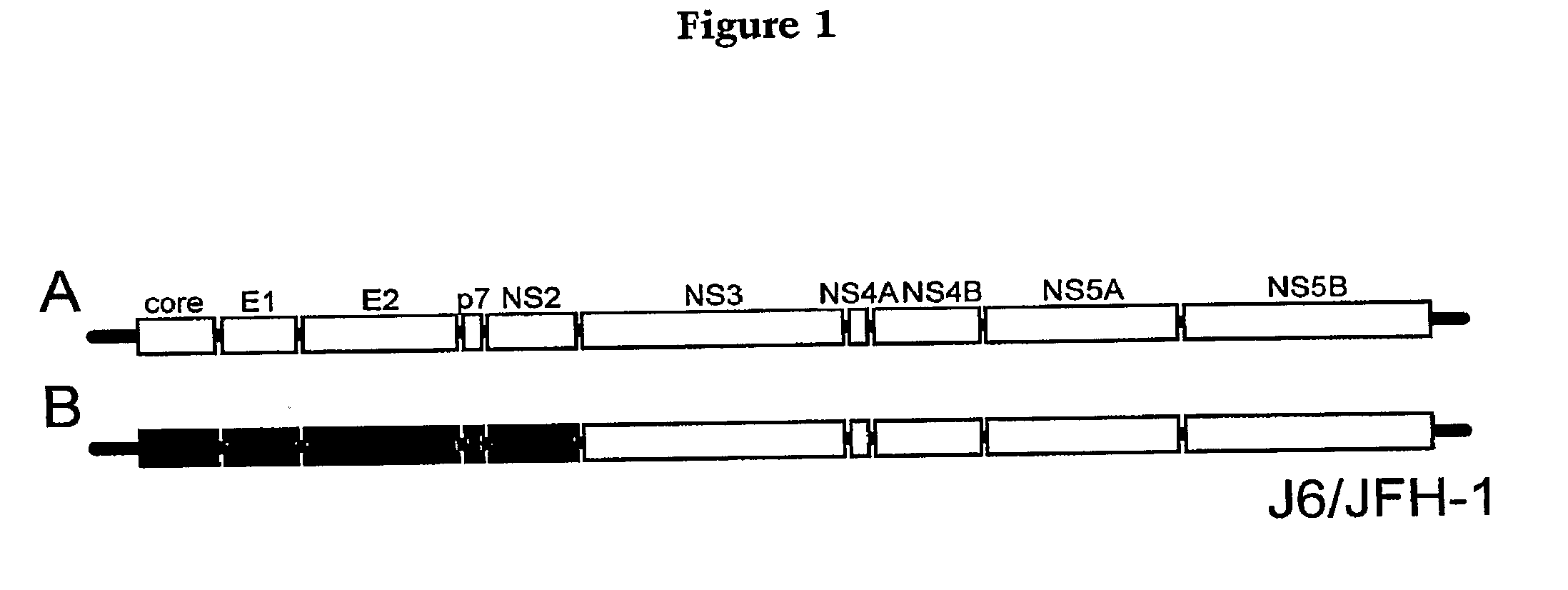 Hcv coreceptor and methods of use thereof