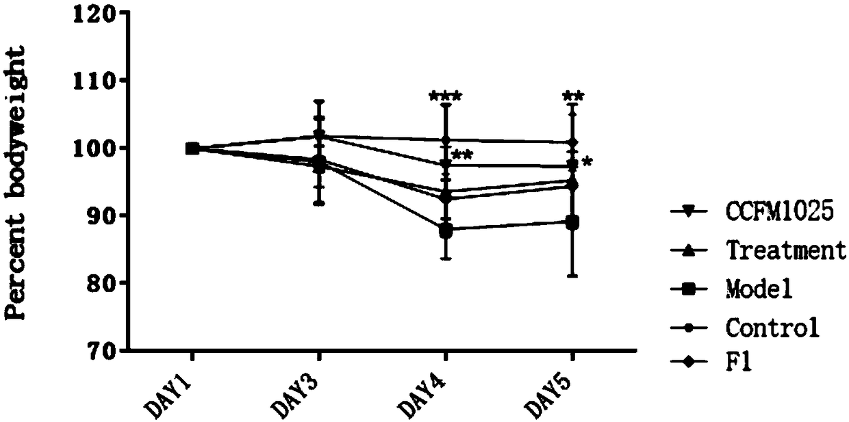 Lactobacillus mucosae with anti-influenza ability and application thereof
