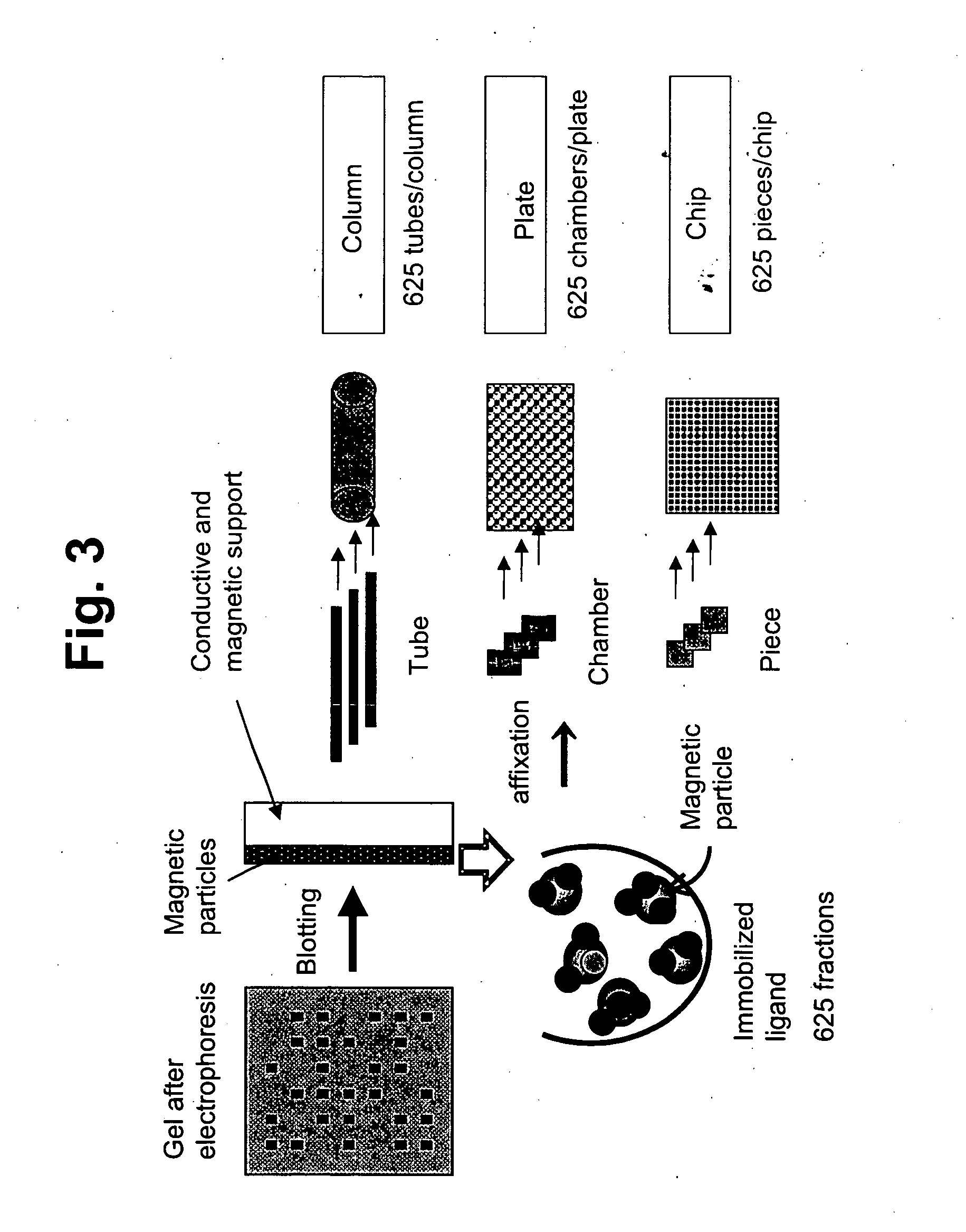 Membrane protein library for proteome analysis and method for preparing same