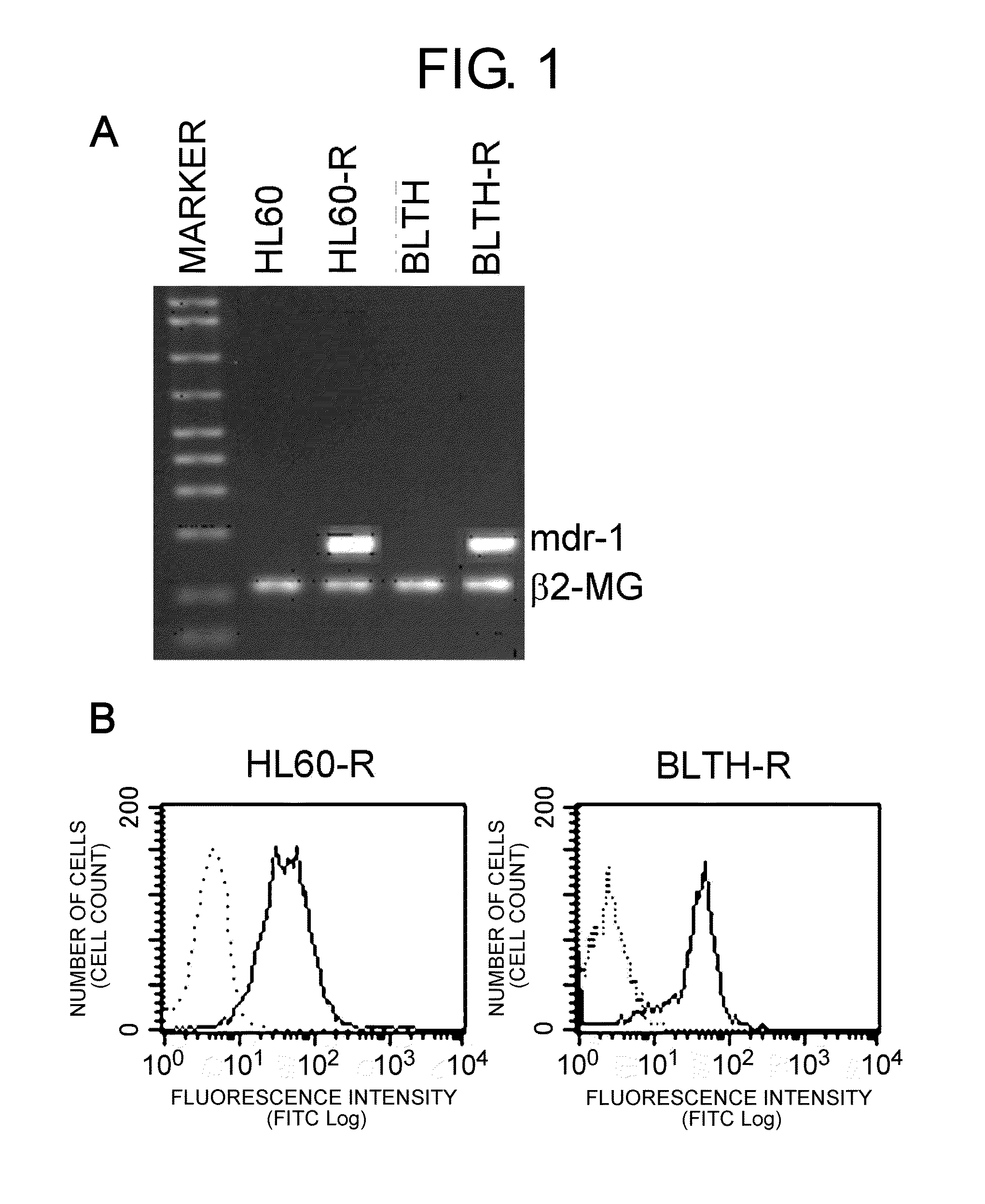 Remedy For Chemotherapy-Resistant Cancer Containing HLA Class I-Recognizing Antibody as the Active Ingredient and Use of the Same
