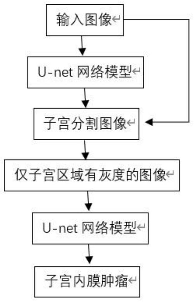 Network model and segmentation method for endometrial neoplasm segmentation