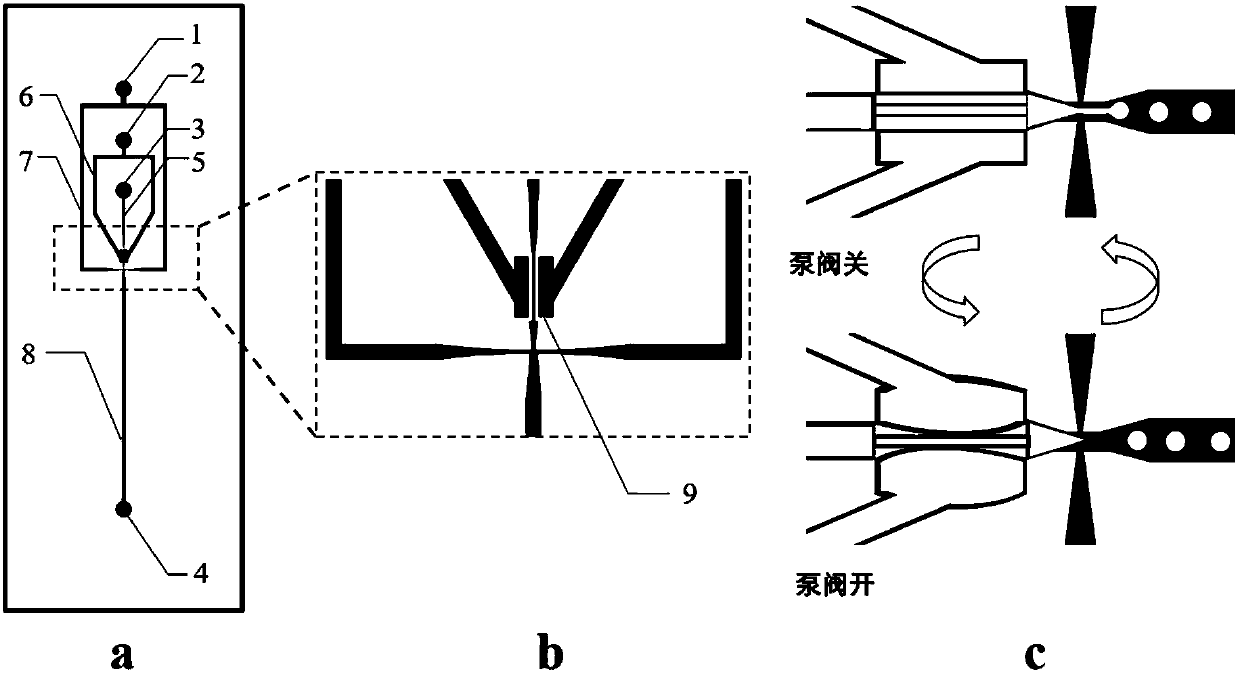 Preparation method of controllable double-aqueous-phase droplets based on micro-fluidic technology