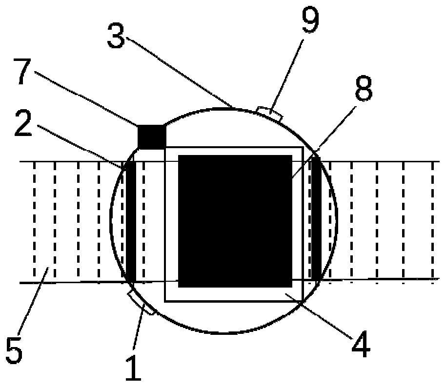 Apple quality detector and detection method