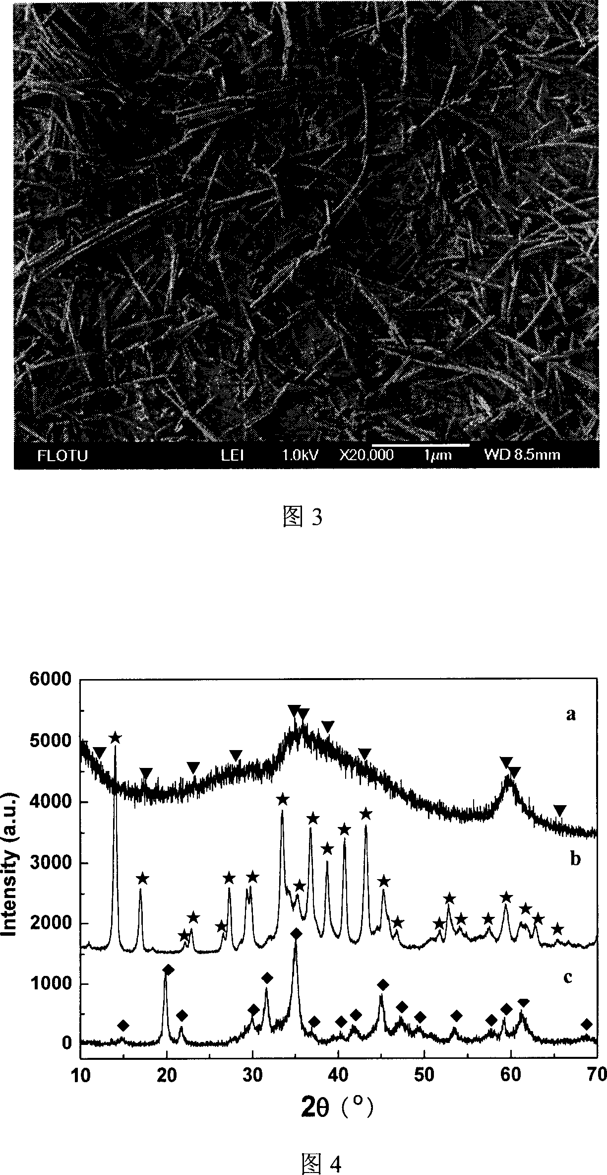 Magnesium borate whisker hydrothermal synthesis preparation method