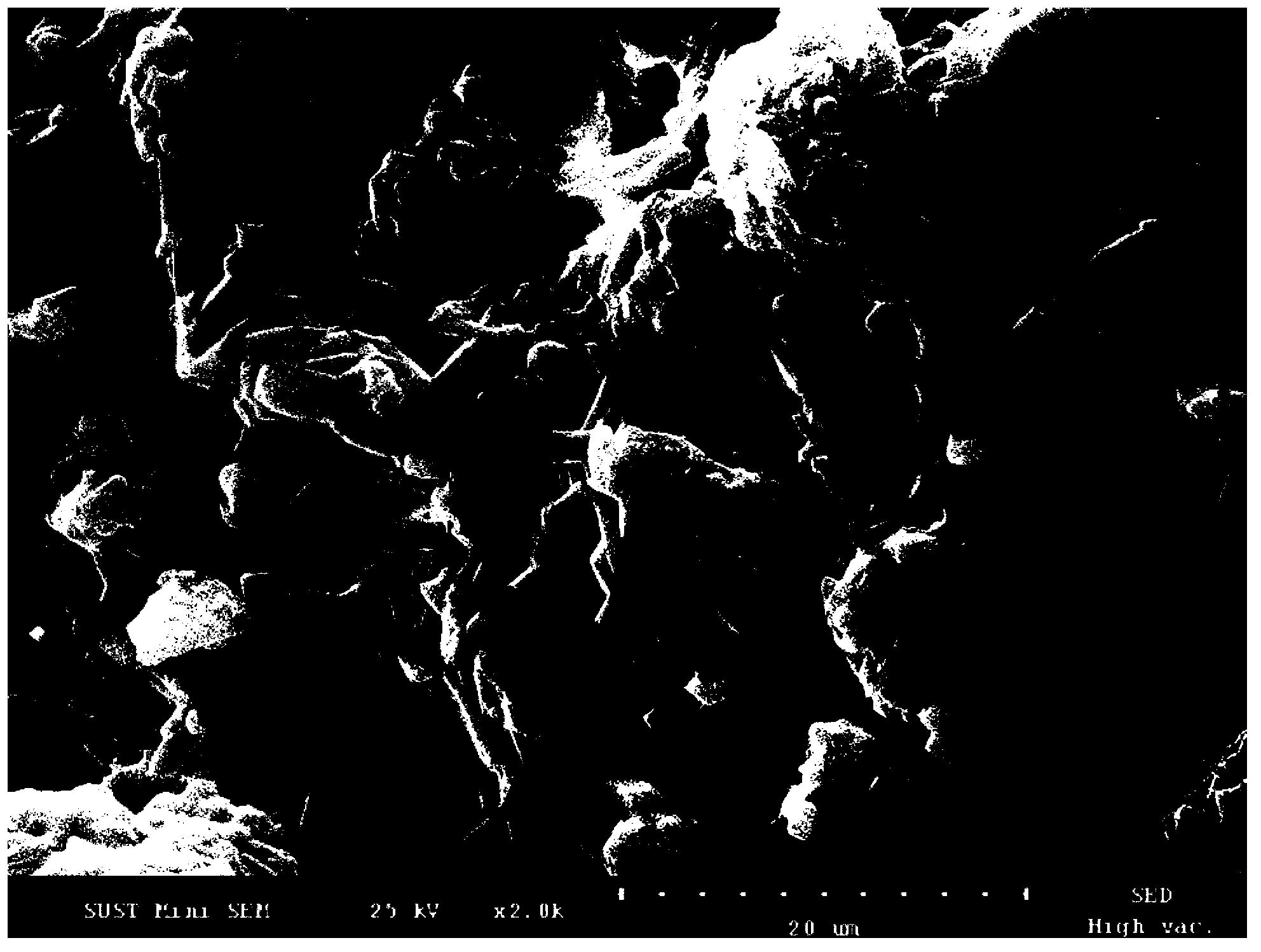 Method for preparing fracturing propping agent special for shale gas from fly ash