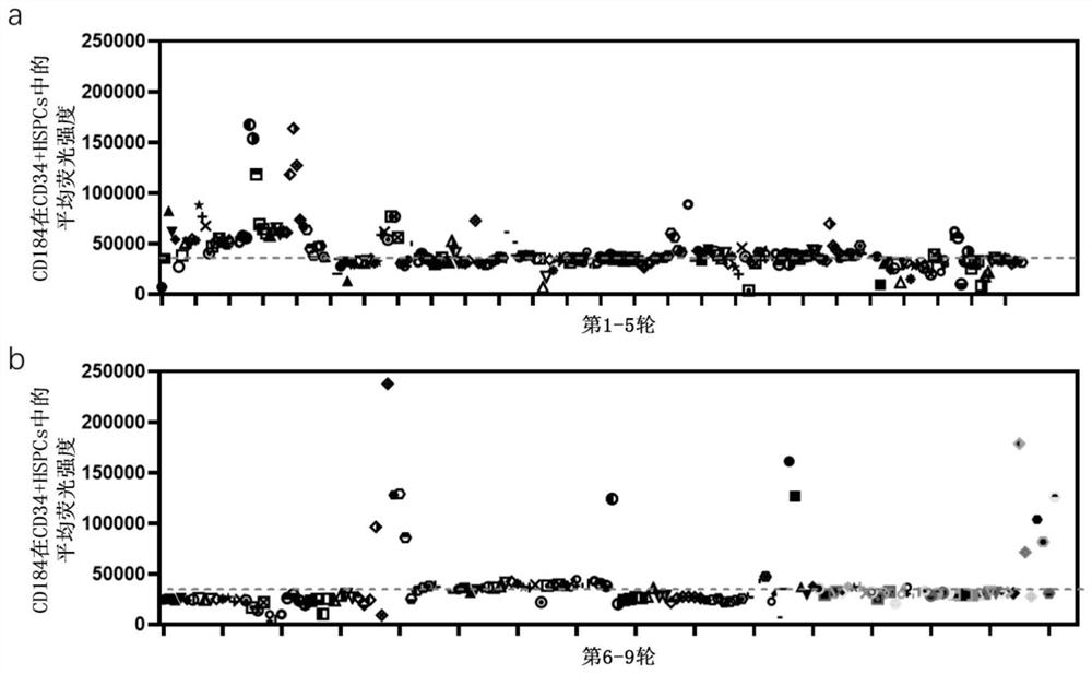 Application of compound for improving transplantation efficiency of human hematopoietic stem cells