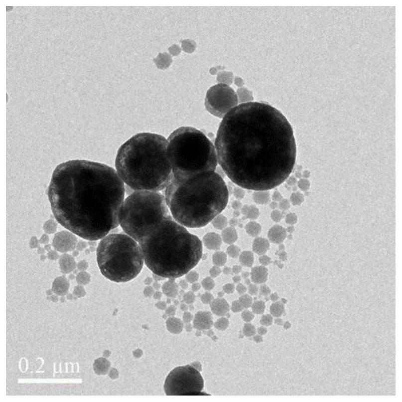 Nano antibacterial material and preparation method and application thereof